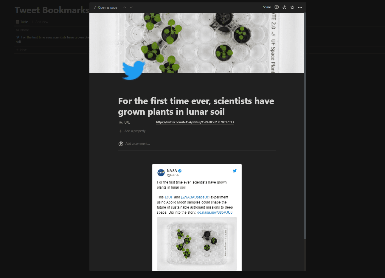 Tweet embeded in Notion
